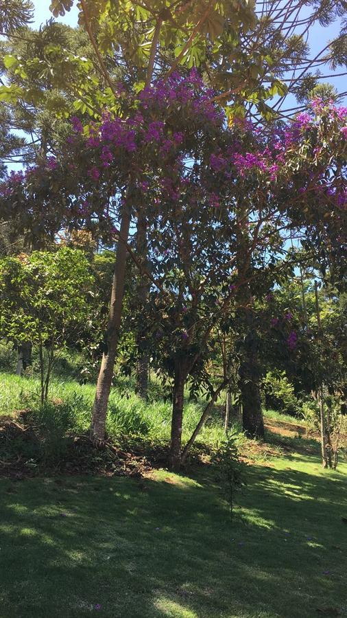 Pousada Canto dos Pássaros Itanhandu Esterno foto